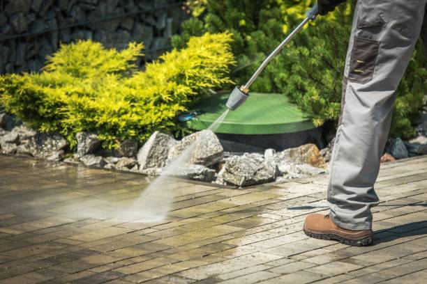 Best Building Exterior Washing  in Vero Lake Estates, FL