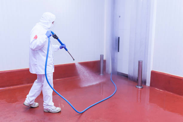 Boat and Dock Cleaning in Vero Lake Estates, FL